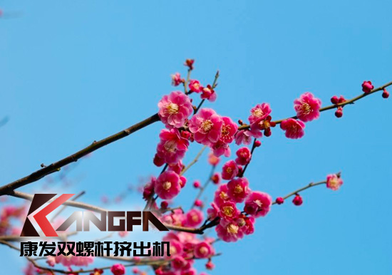 春光明媚,綠意盎然!康發雙螺桿擠出機組集中發貨